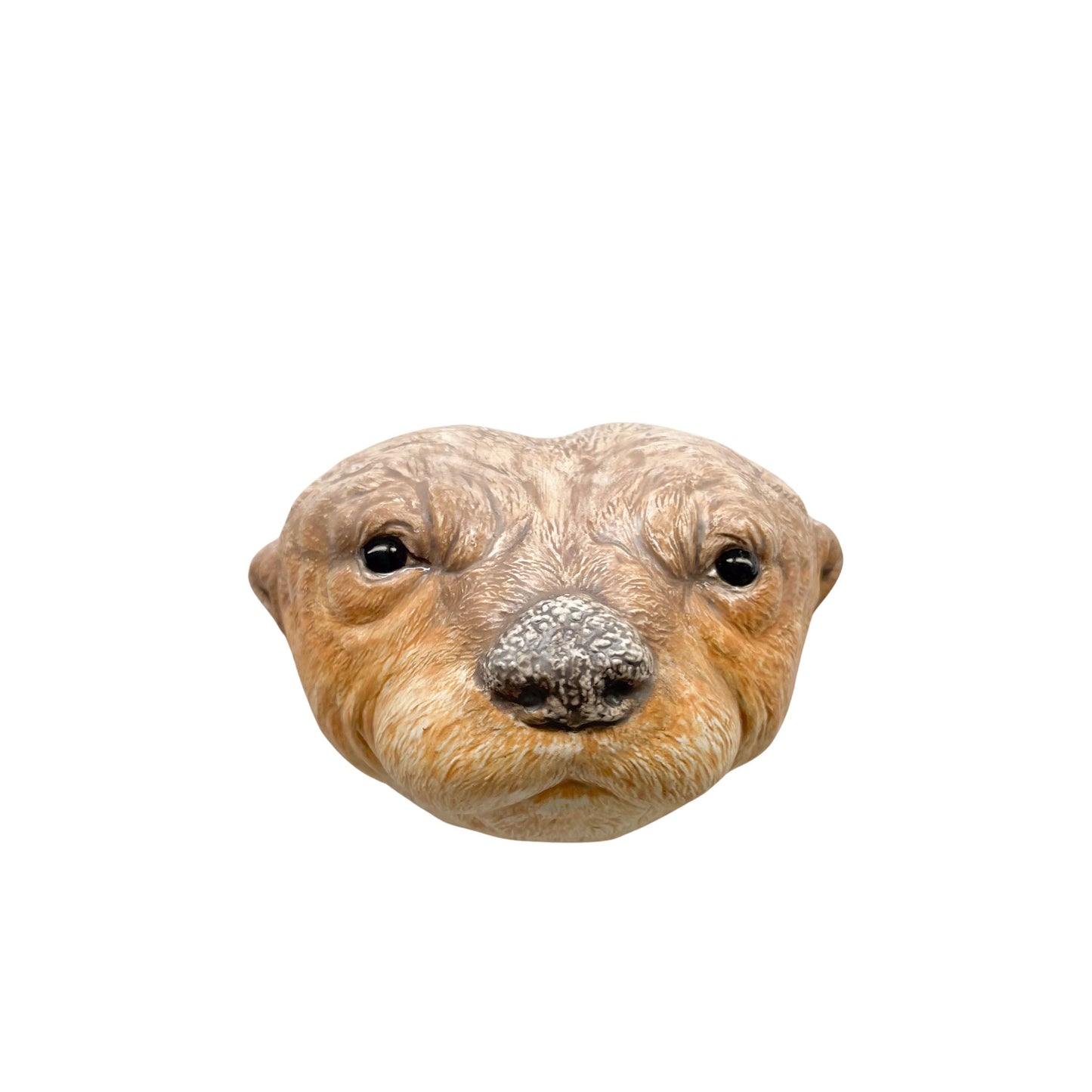 Otter 14