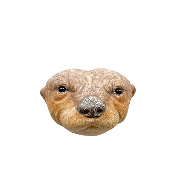 Otter 14