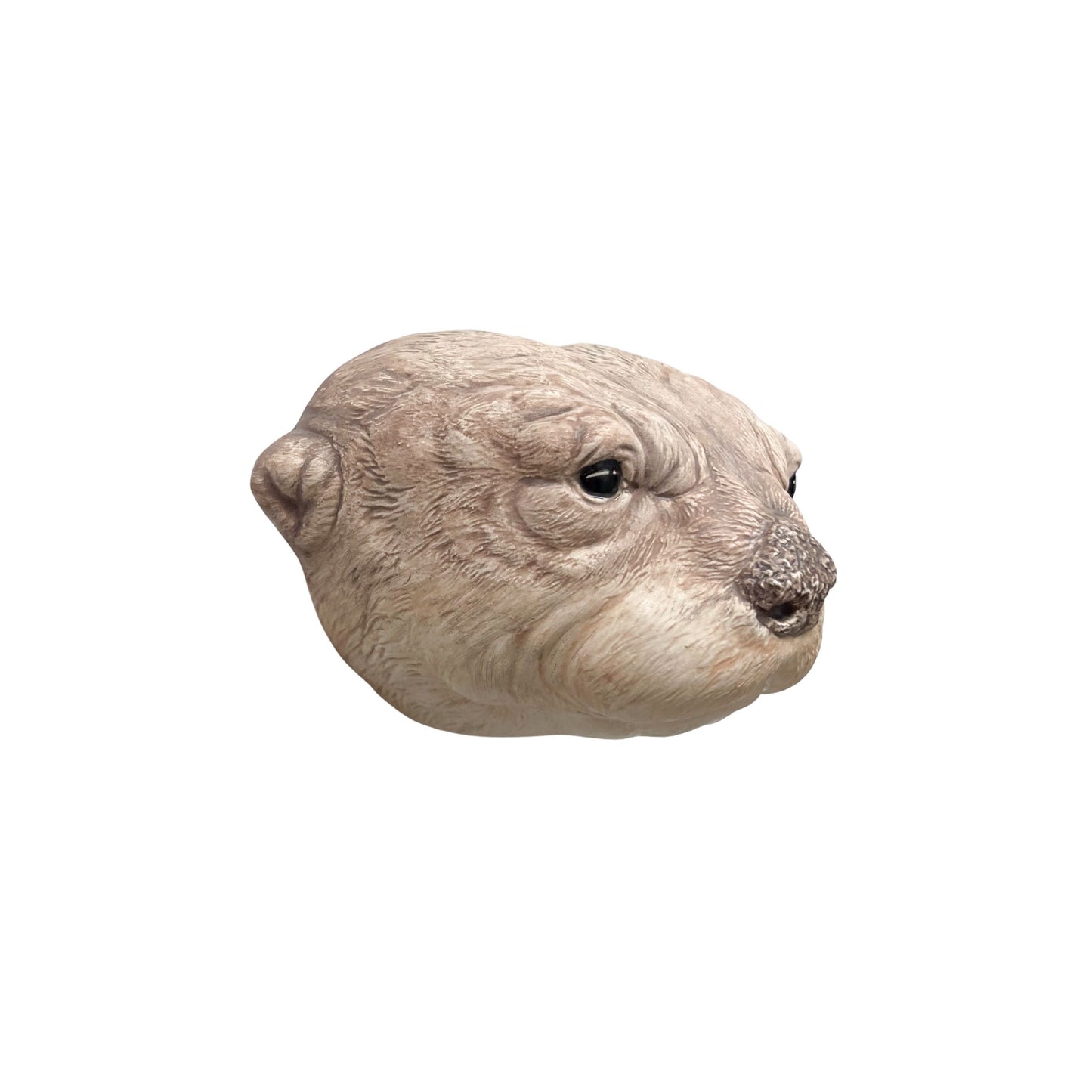 Otter 15