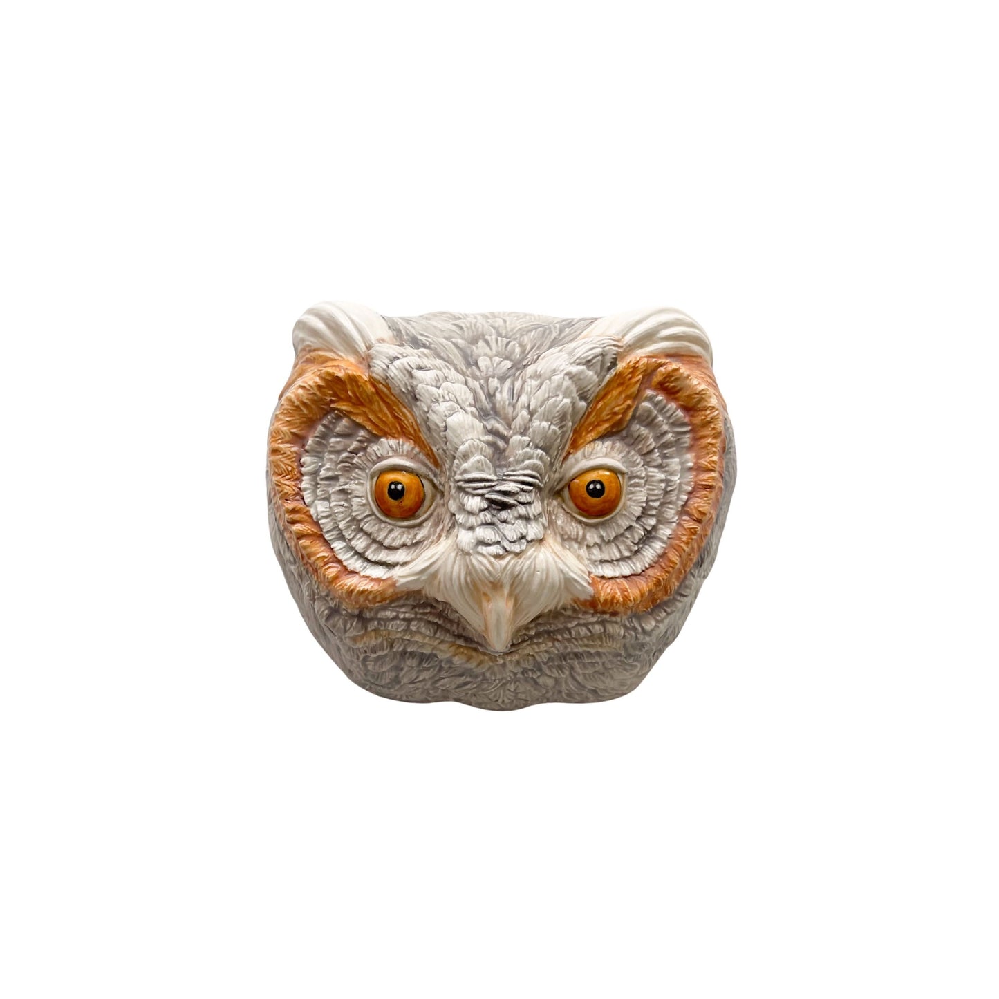 Flammulated Owl 31