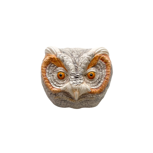Flammulated Owl 31