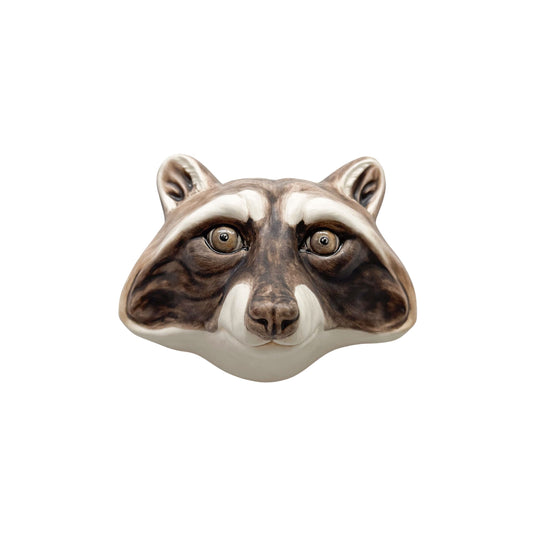 Raccoon 6