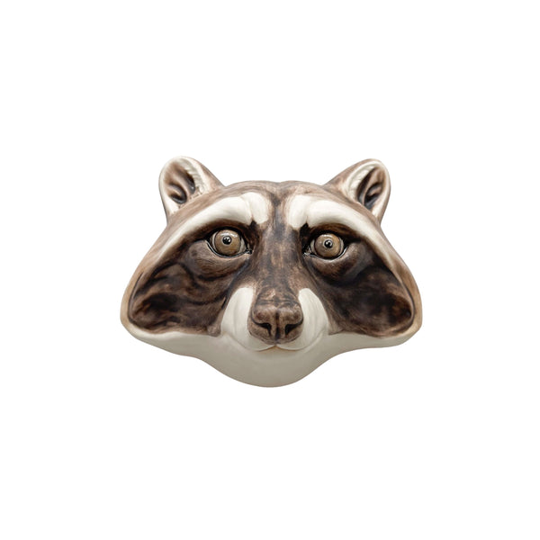 Raccoon 6