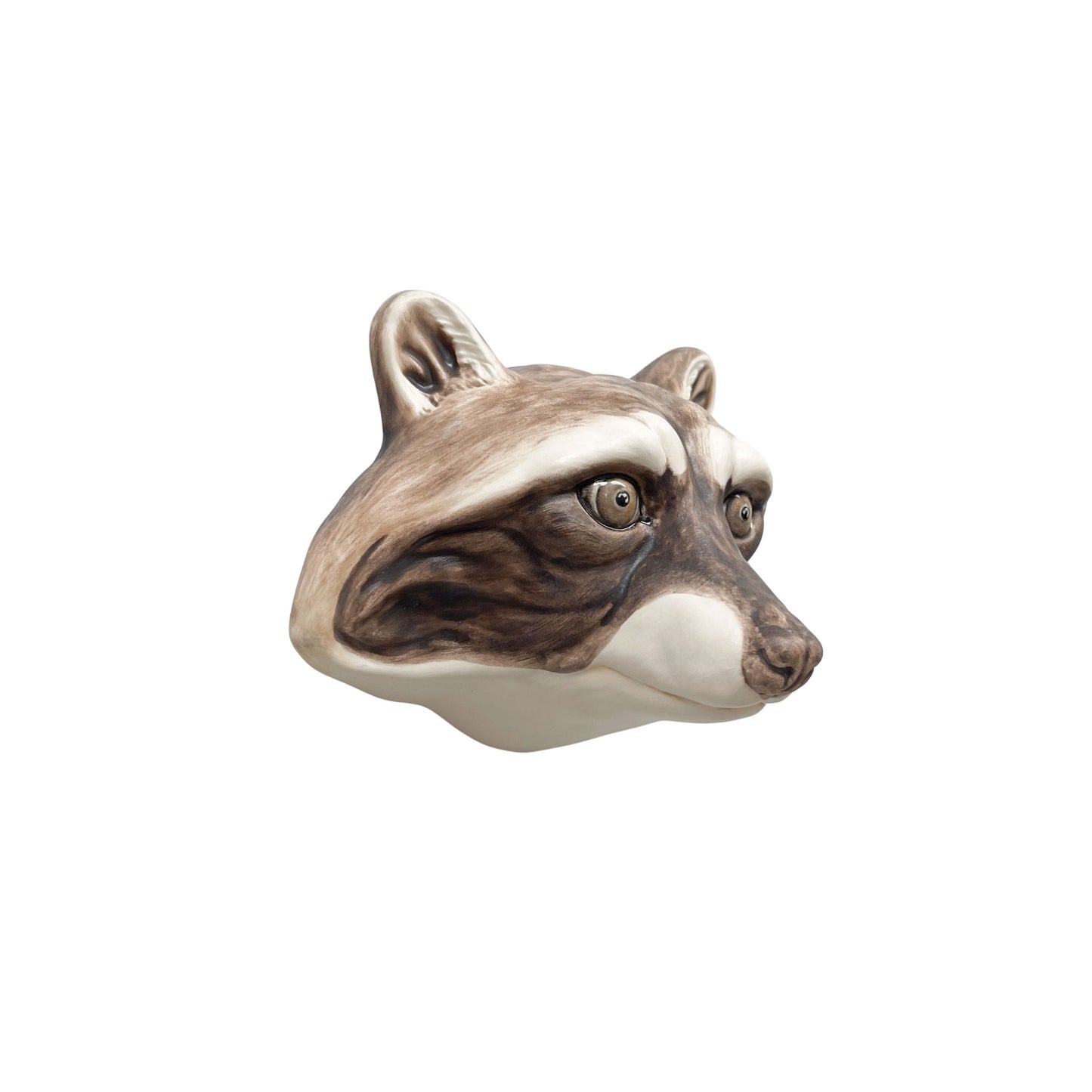 Raccoon 6