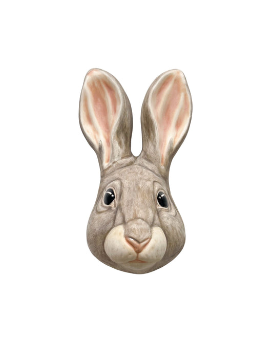 Rabbit 31