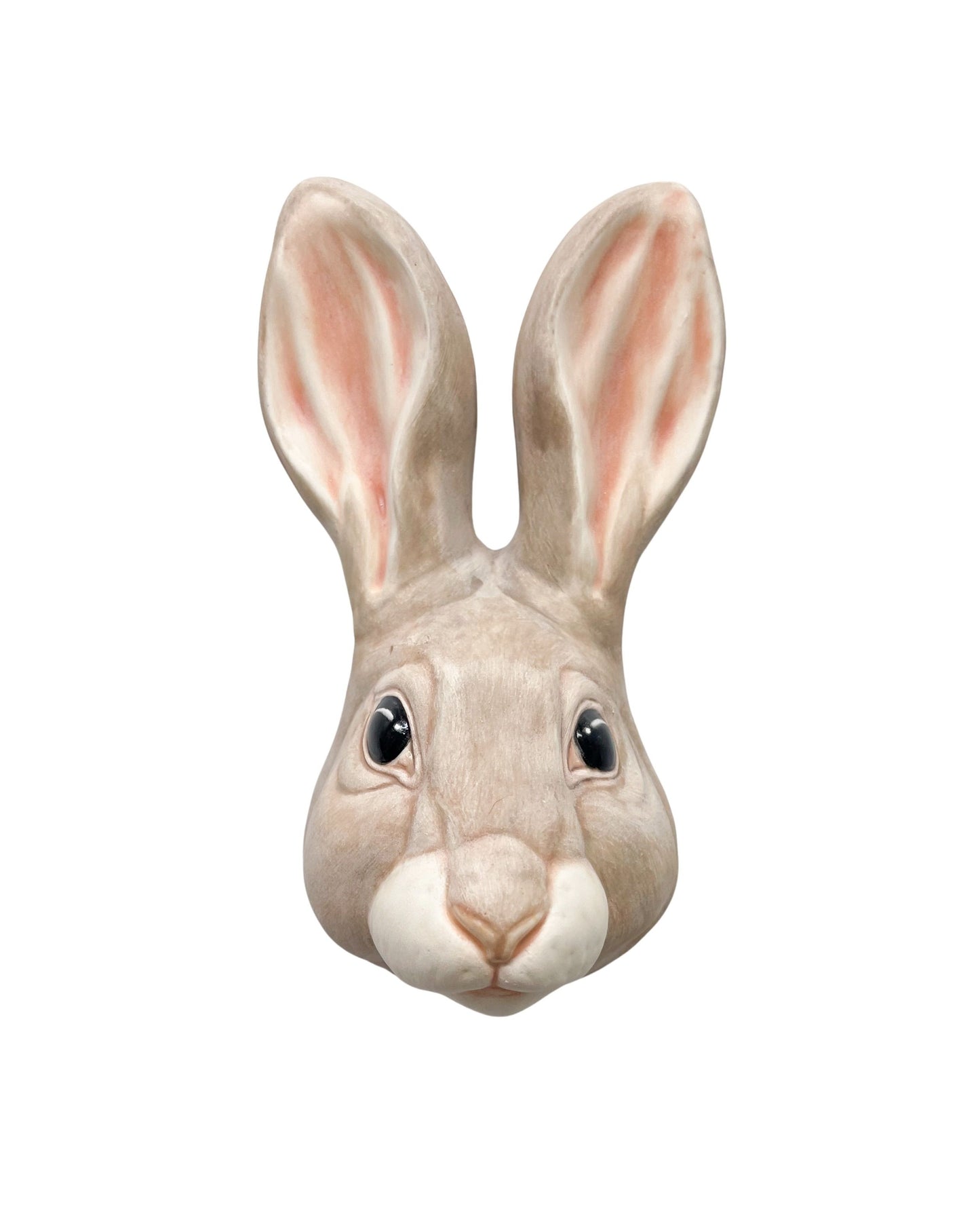 Rabbit 33