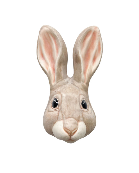Rabbit 33