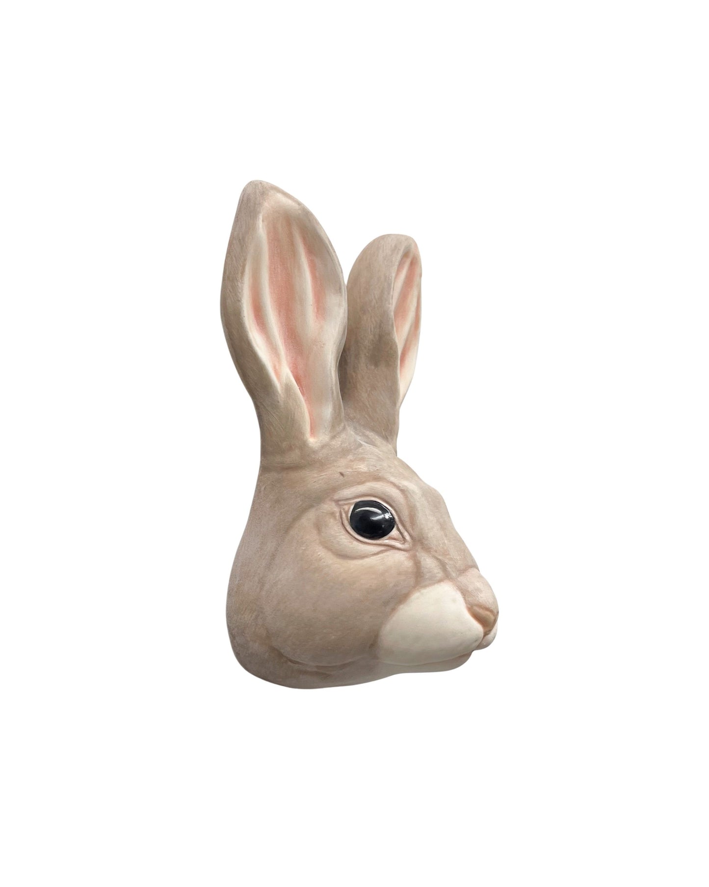 Rabbit 33
