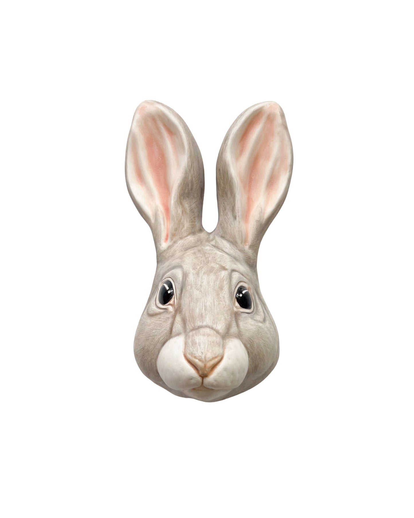 Rabbit 30