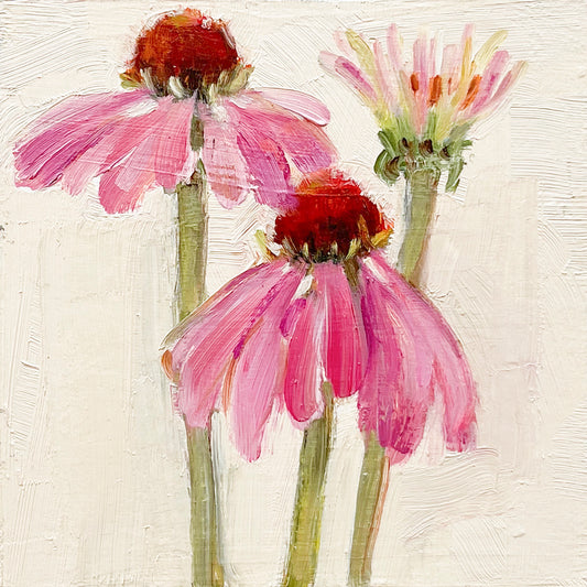 Coneflower
