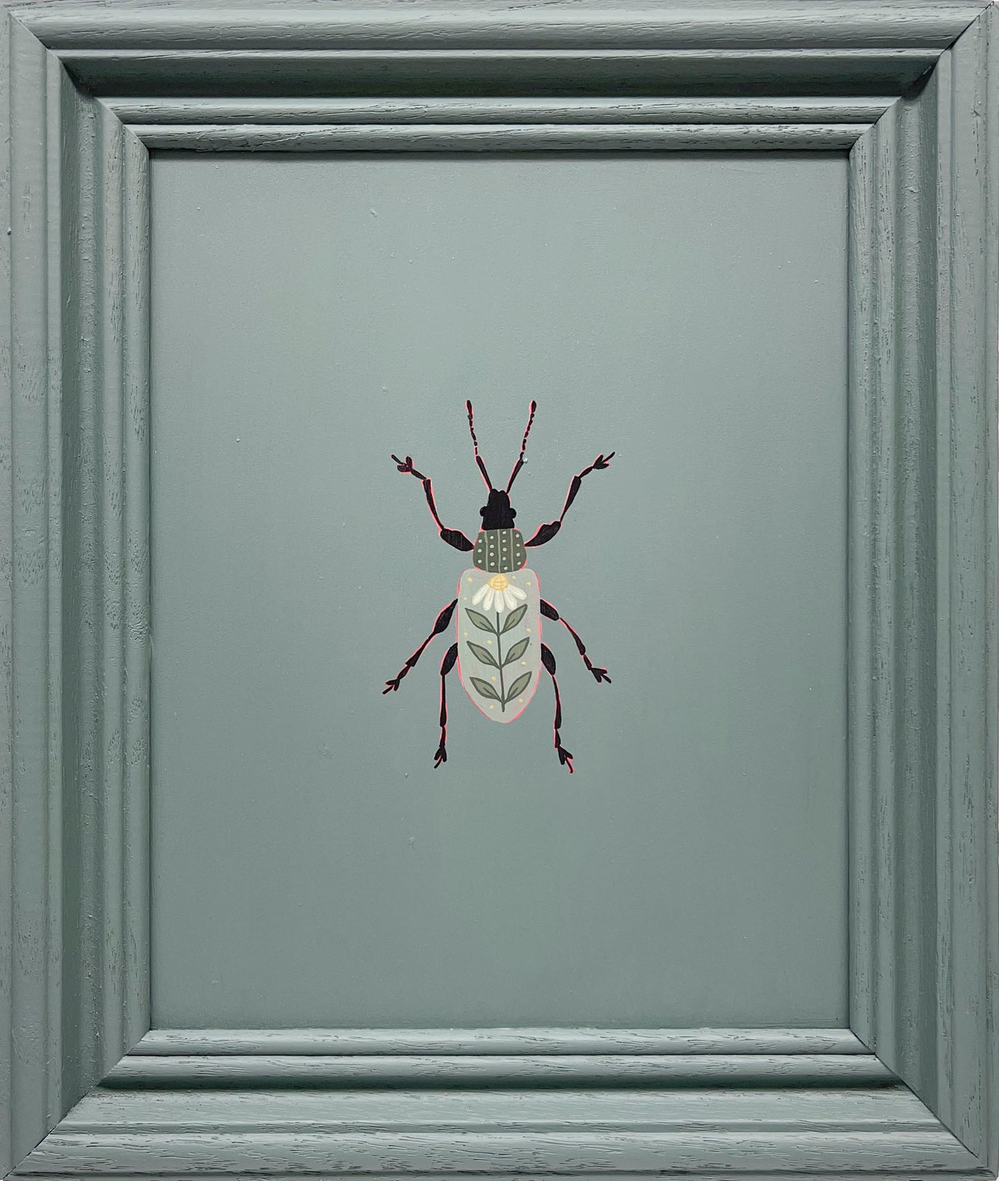 Leaf Weevil