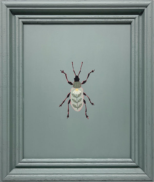 Leaf Weevil