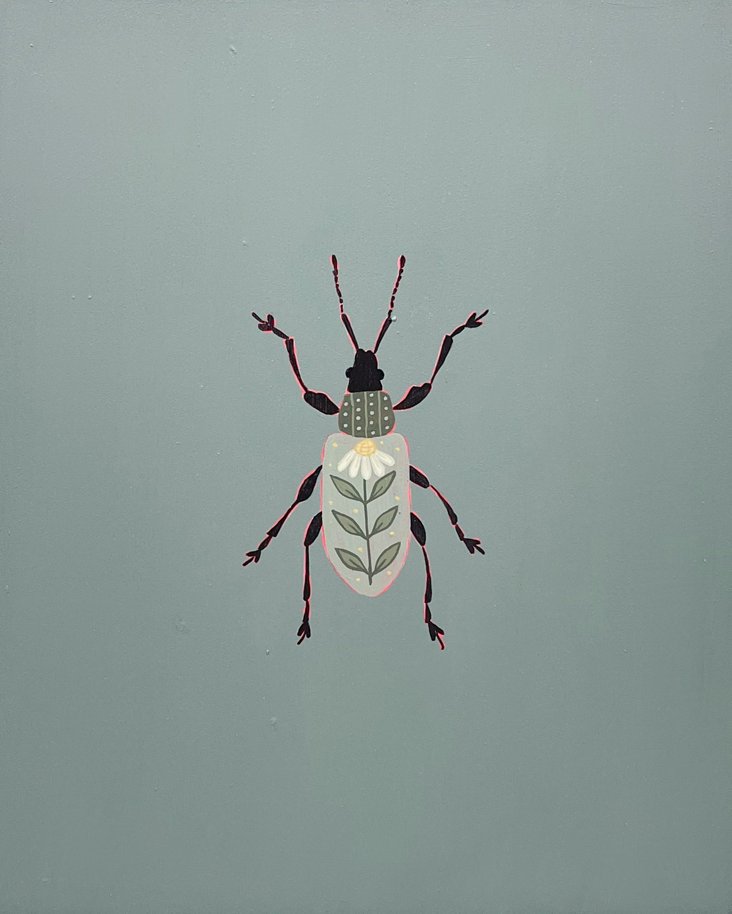 Leaf Weevil