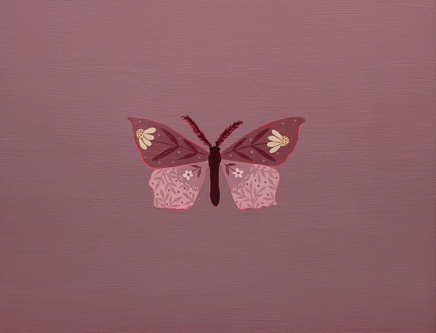 Blood Vein Moth