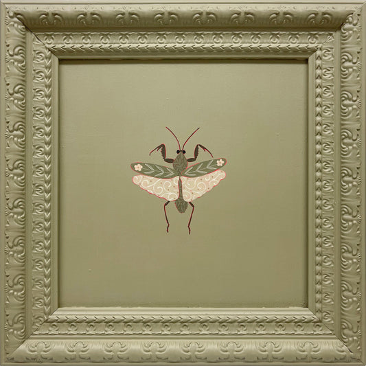Shield Mantis