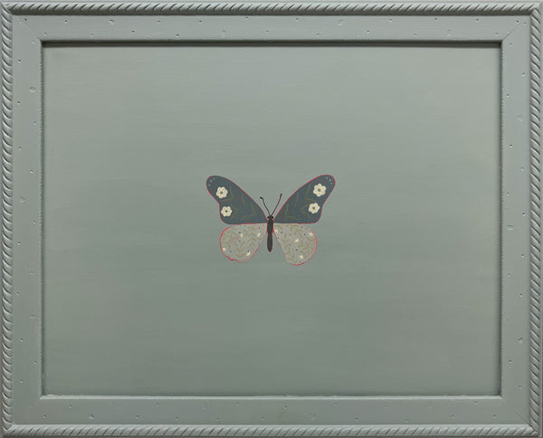 Giant Blue Swallowtail