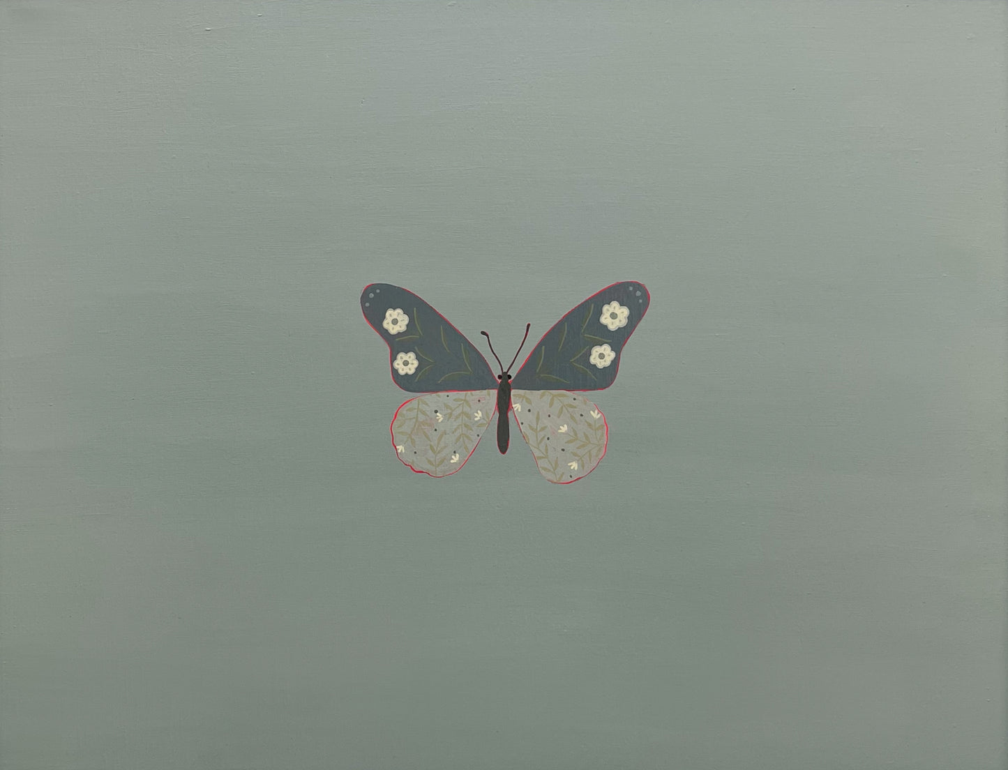 Giant Blue Swallowtail