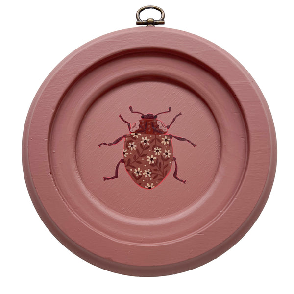 Ladybird