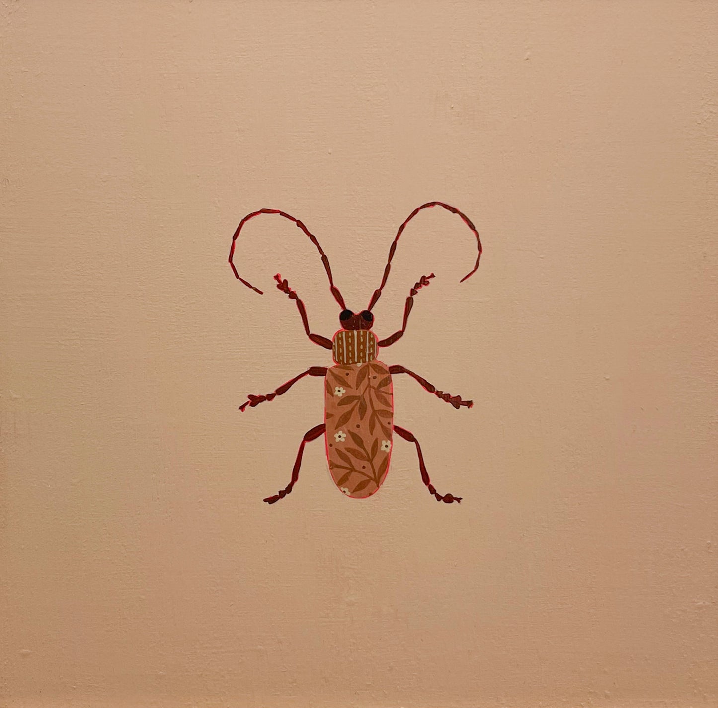 Longhorn Beetle
