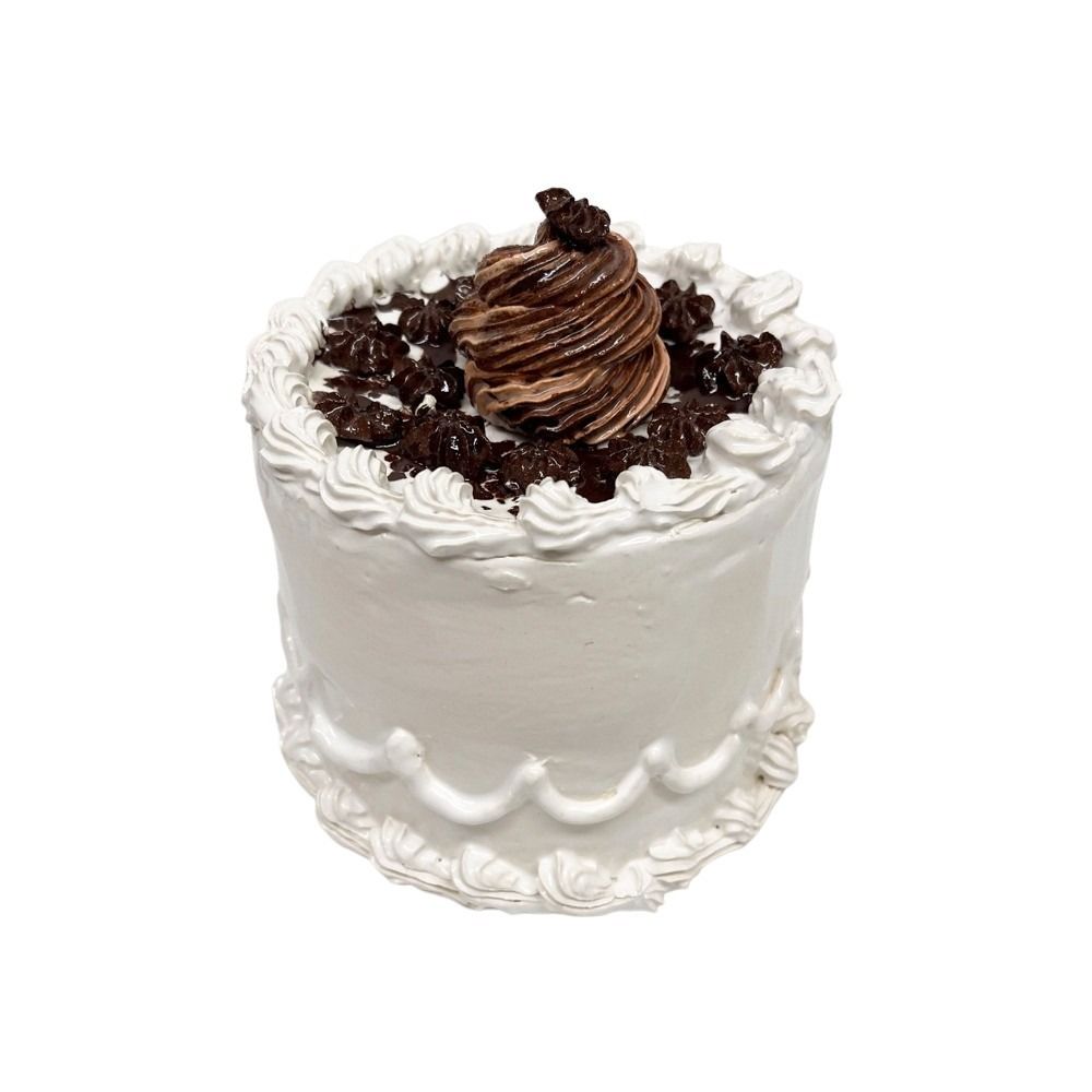 Chocolate Star Topped Vanilla Cake 16