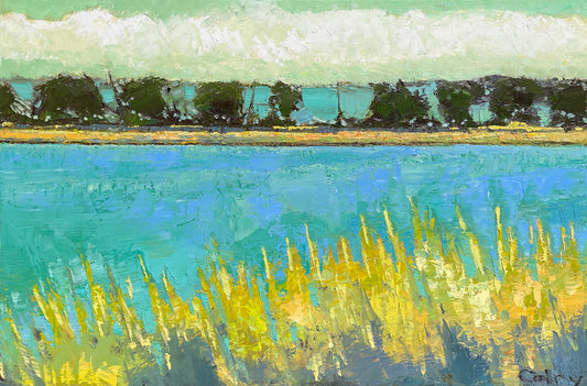 A Distant Shore #27