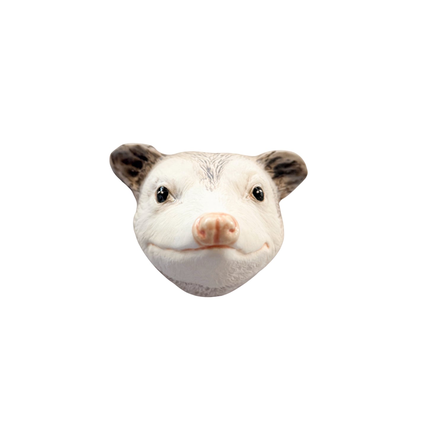 Opossum 1