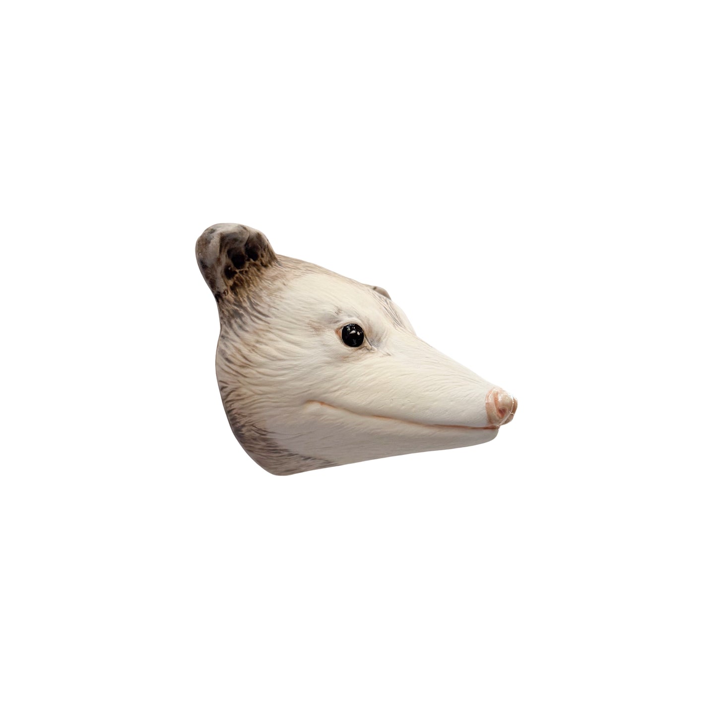 Opossum 1