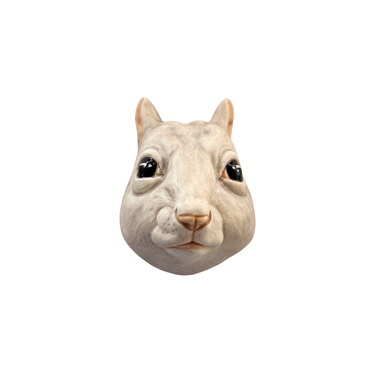 Squirrel 14