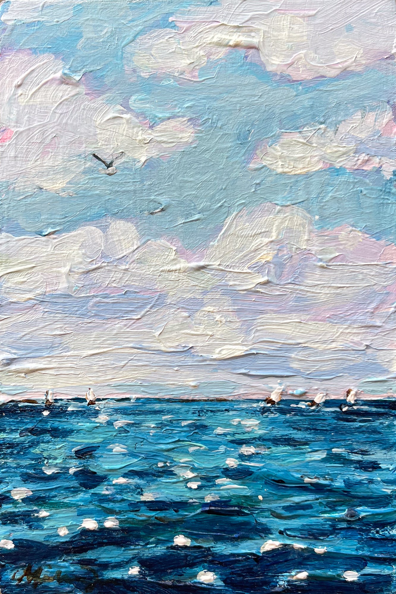 Shimmering Regatta