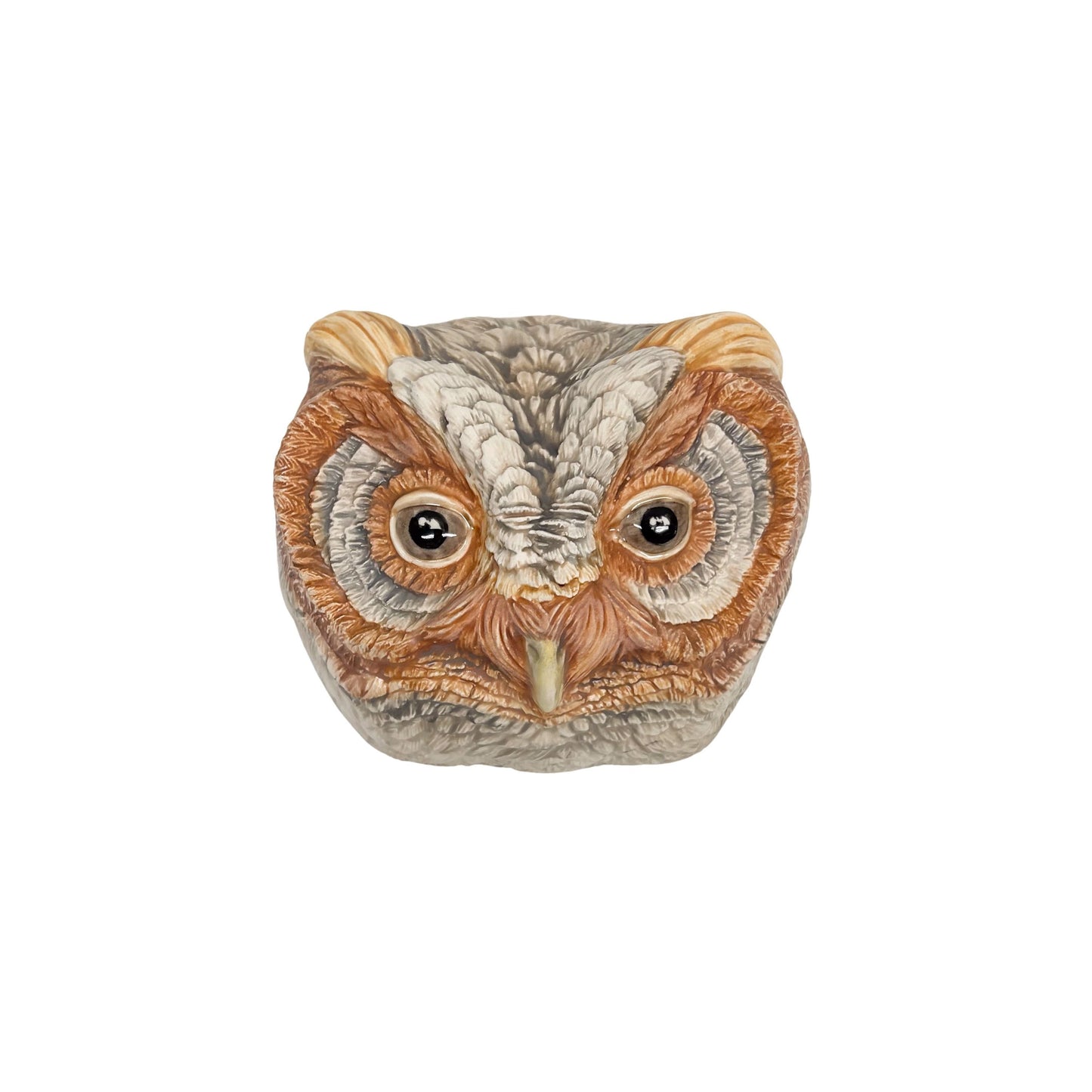 Flammulated Owl 25
