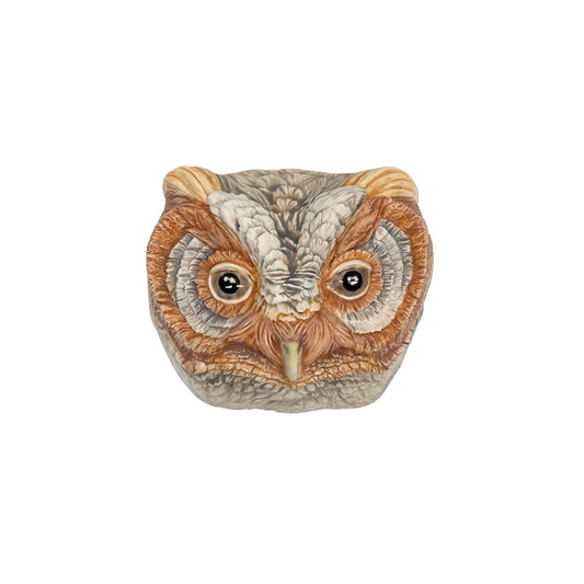 Flammulated Owl 25
