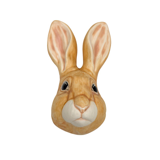 Rabbit 26