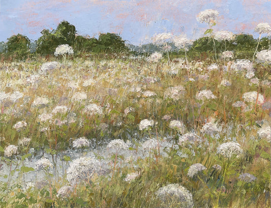 Summer Trail Through Queen Anne Lace