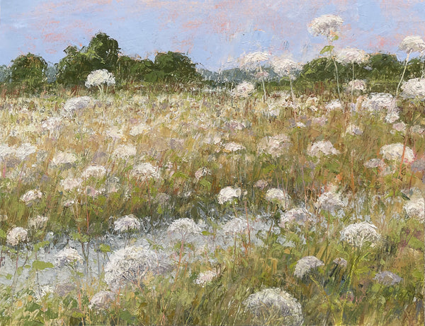 Summer Trail Through Queen Anne Lace