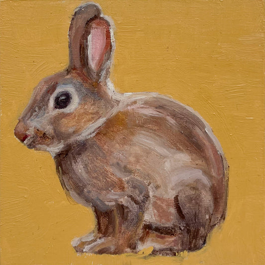 Rabbit