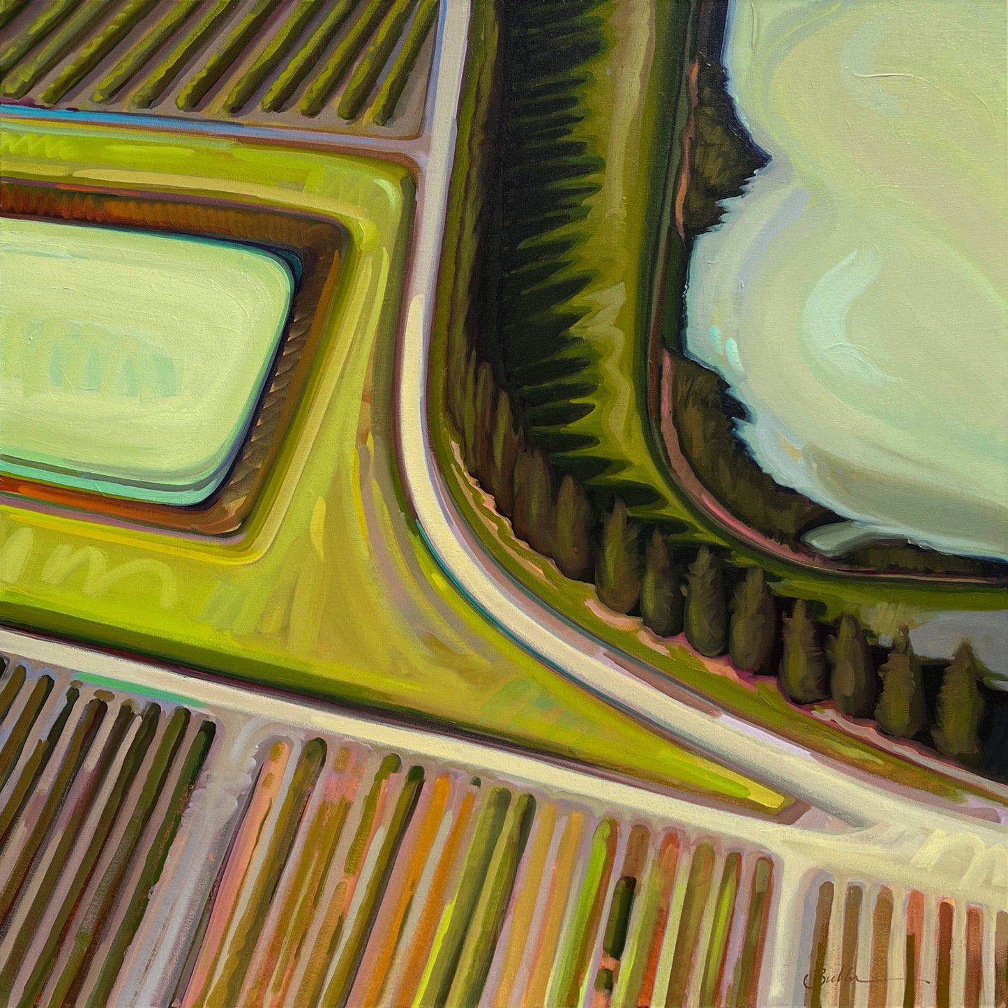 Vineyards And Ponds