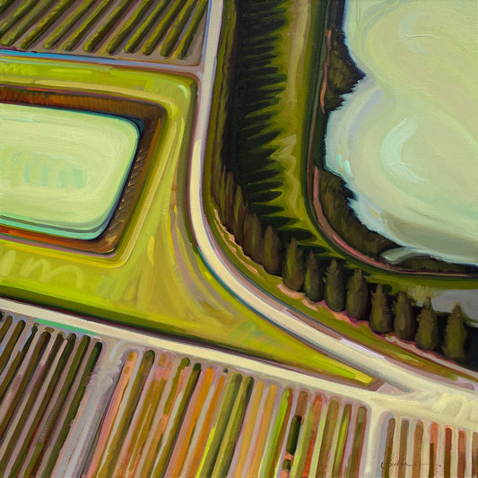 Vineyards And Ponds