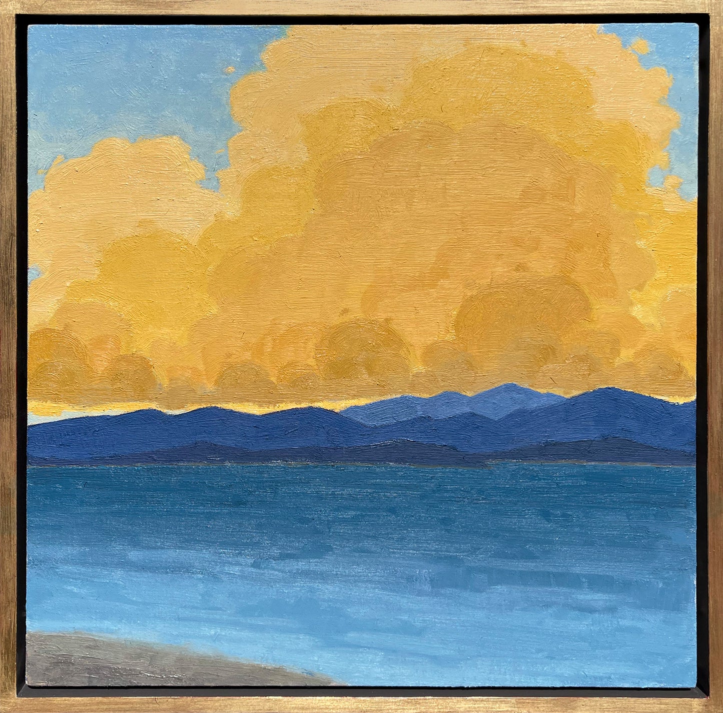 Tahoe View