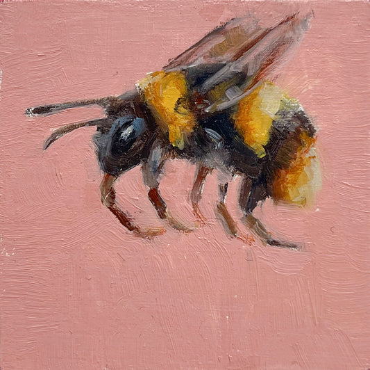 Bee on Pink