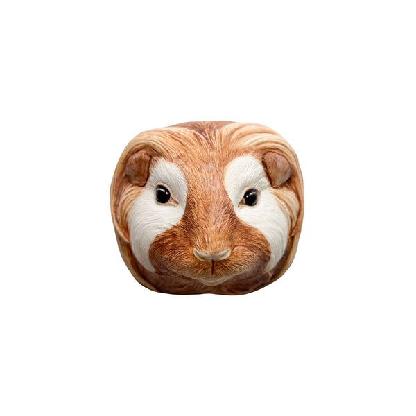 Guinea Pig 9