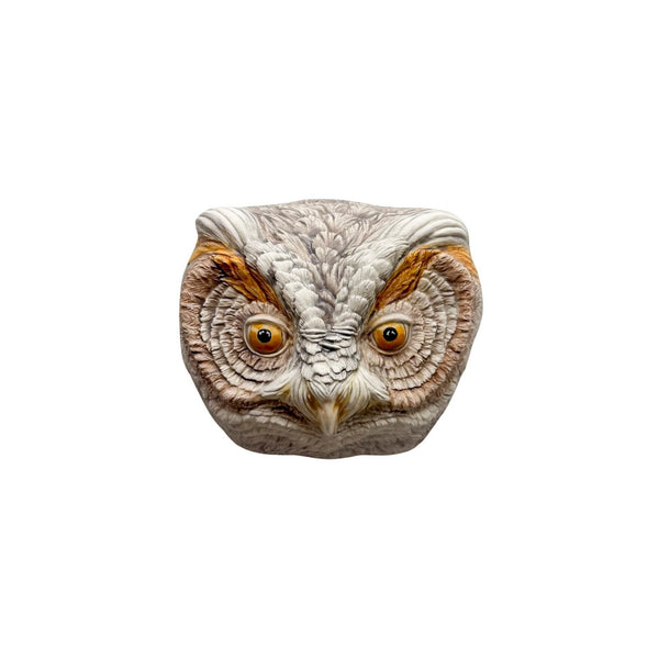 Flammulated Owl 42