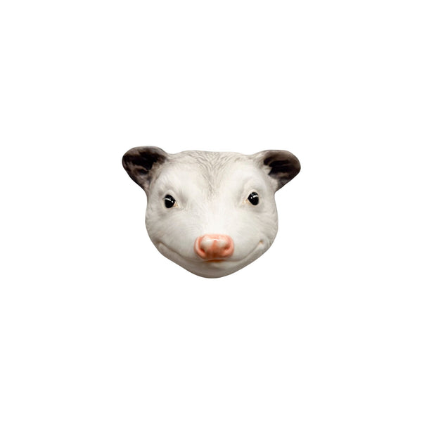Opossum 66