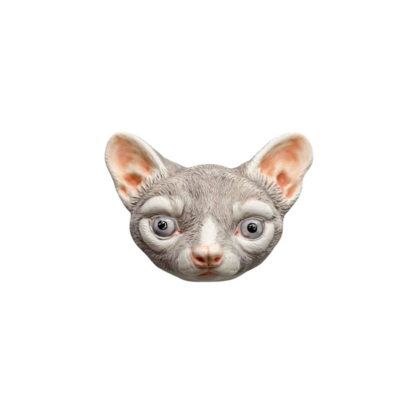 Ringtail 10