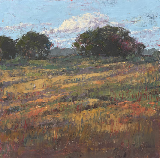 Summer Fields